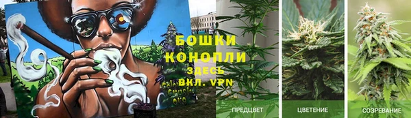 мяу мяу мука Коряжма
