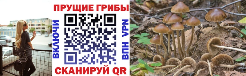 Псилоцибиновые грибы мухоморы Белая Калитва