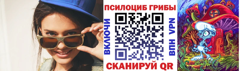 Псилоцибиновые грибы Psilocybe  Купить  Белая Калитва 